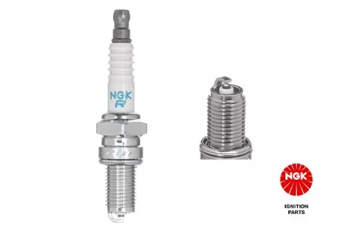 Spark Plug NGK 5469)