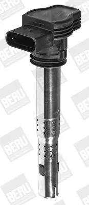 Ignition Coil BorgWarner (BERU) ZSE033)